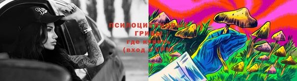 хмурый Майский