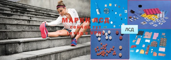 apvp Артём