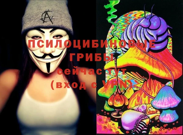 хмурый Майский