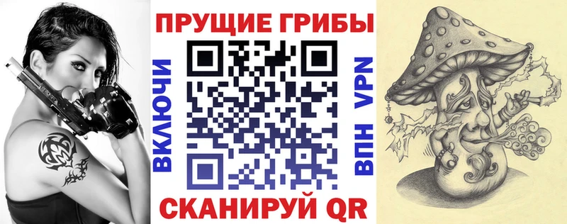 МЕГА онион  купить наркоту  Тайшет  Галлюциногенные грибы ЛСД 