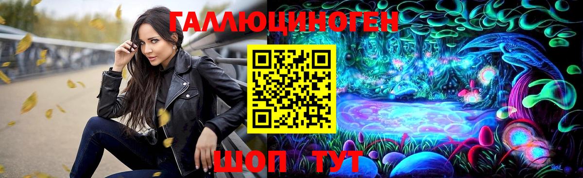Галлюциногенные грибы Psilocybe  как найти закладки  Тайшет  Вход с VPN 