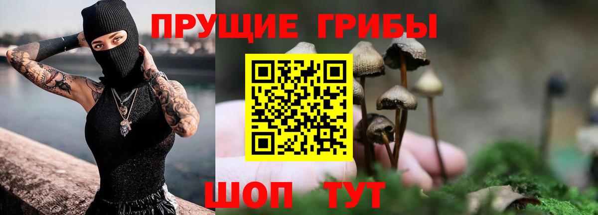 Псилоцибиновые грибы мухоморы Тайшет