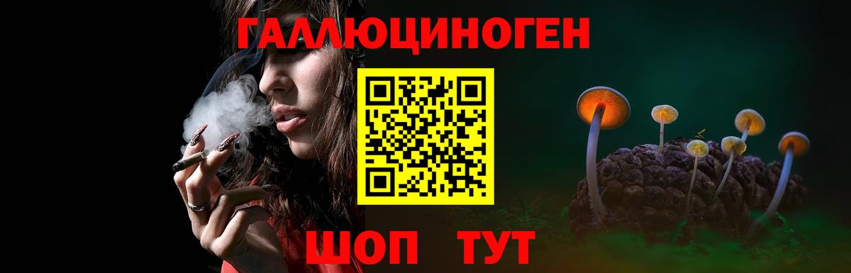 Псилоцибиновые грибы GOLDEN TEACHER Тайшет