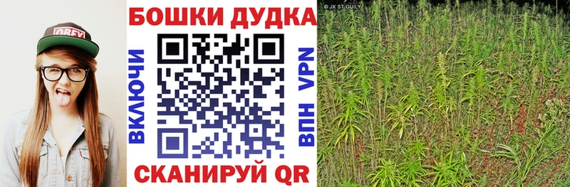 блэк спрут как зайти  Тайшет  МАРИХУАНА тримм  купить  